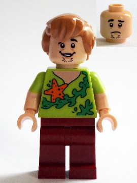 LEGO Minifigure-Shaggy - Seaweed and Starfish Shirt (75903)-Scooby-Doo-SCD012-Creative Brick Builders